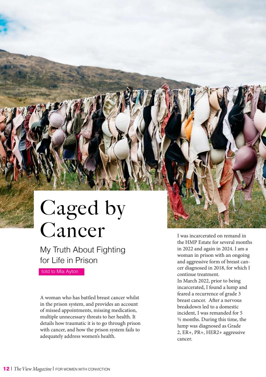 The View Magazine Preview Pages