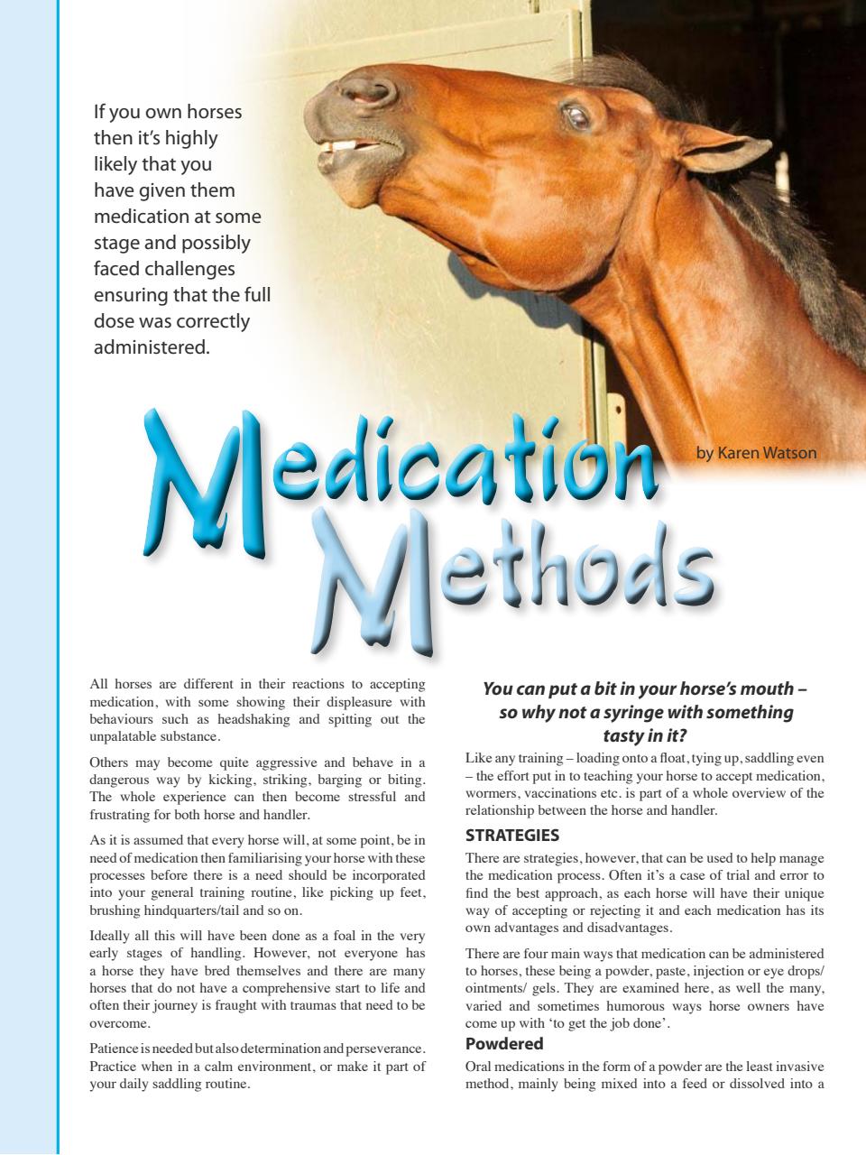 Hoofbeats Preview Pages