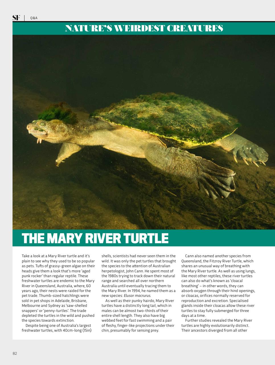 BBC Science Focus Magazine Preview Pages