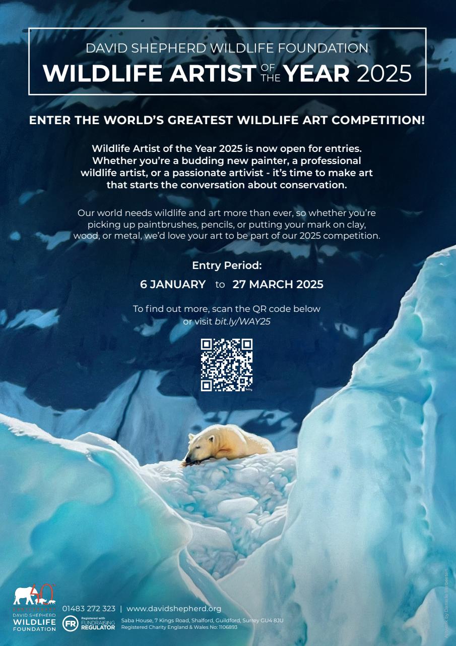 Leisure Painter & The Artist Preview Pages