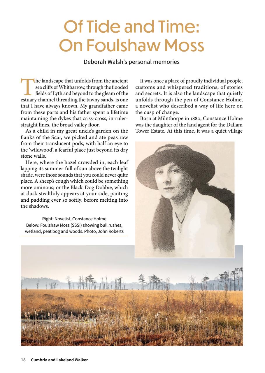 Cumbria and Lakeland Walker Preview Pages