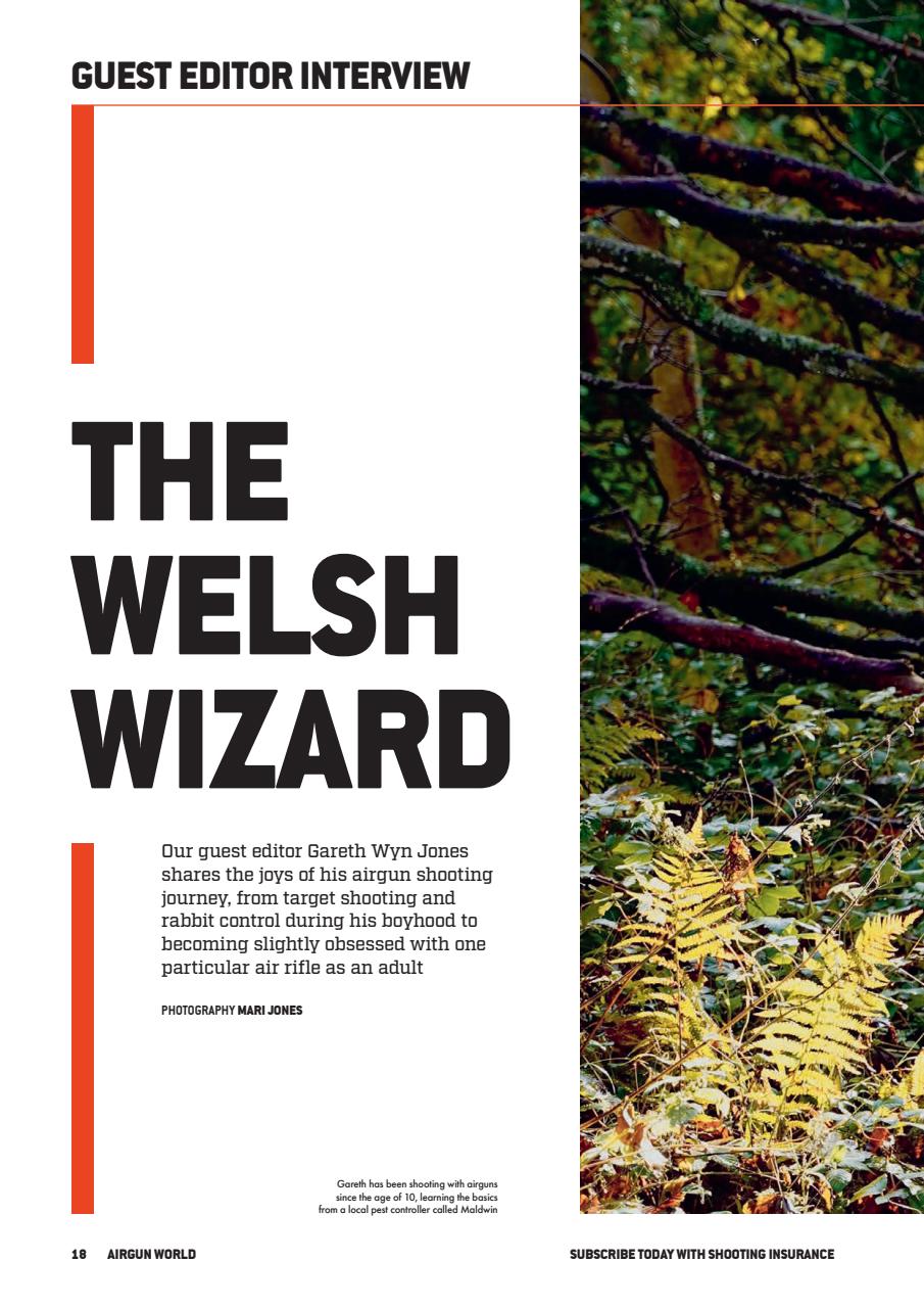Airgun World Preview Pages
