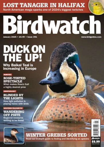Birdwatch Magazine issue 