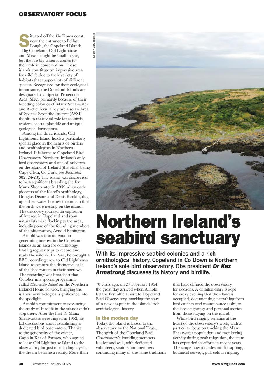 Birdwatch Magazine Preview Pages