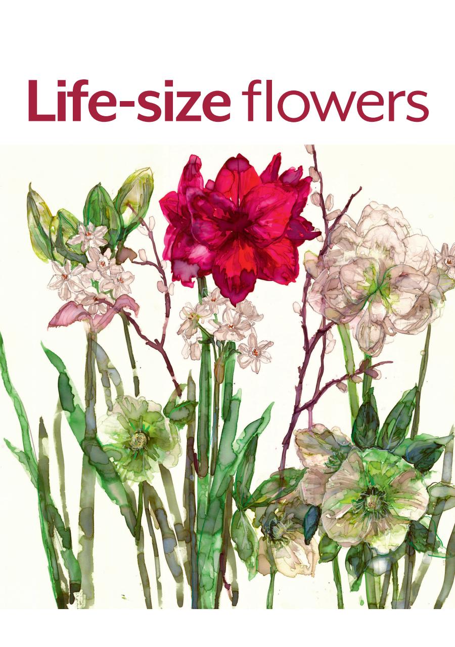 The Artist Preview Pages