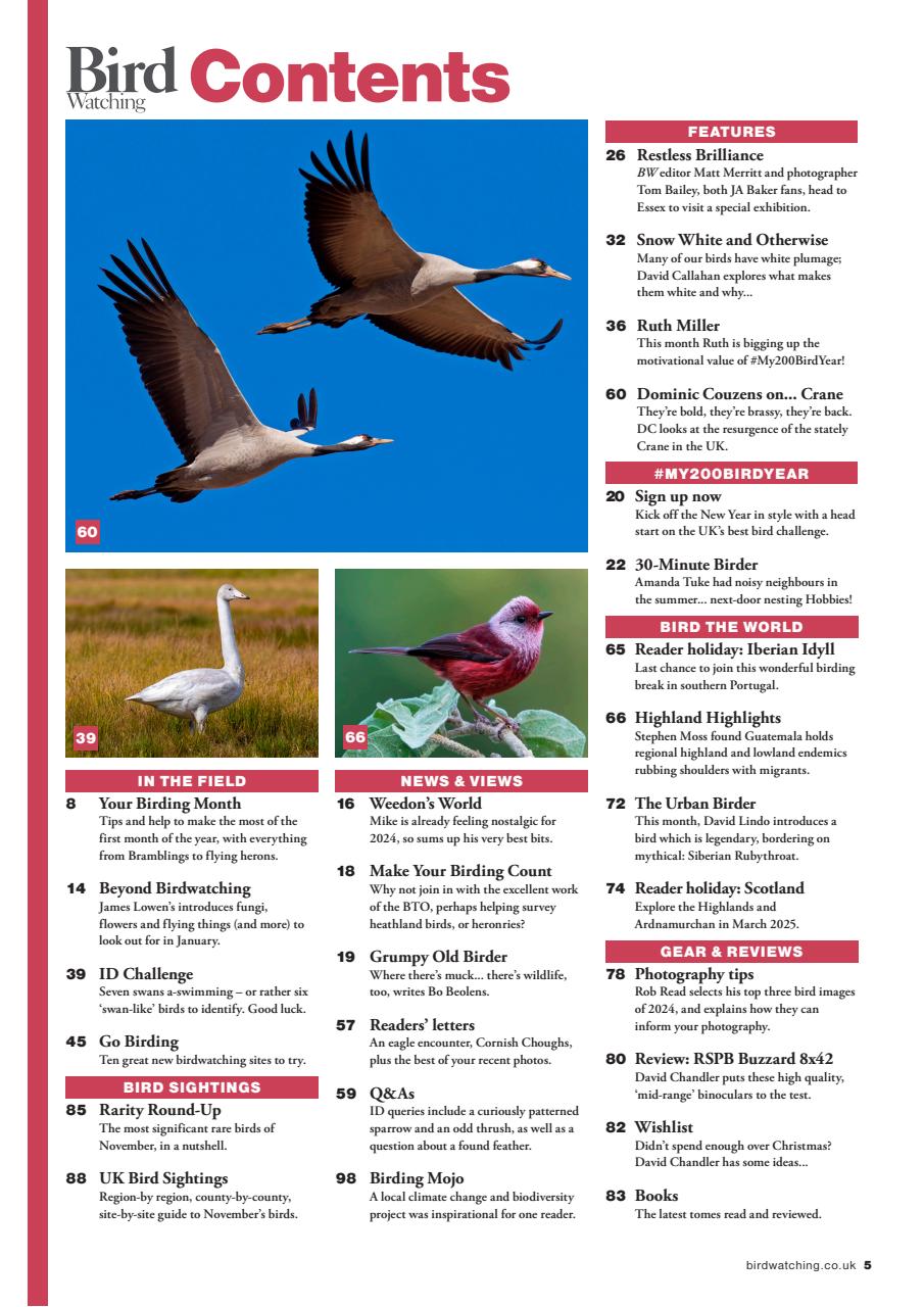 Bird Watching Preview Pages