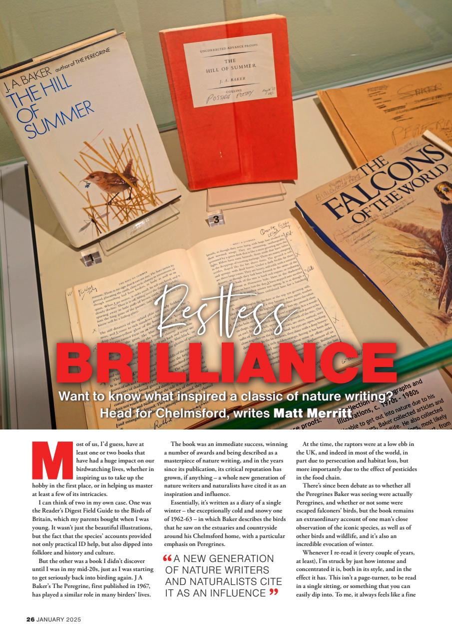 Bird Watching Preview Pages