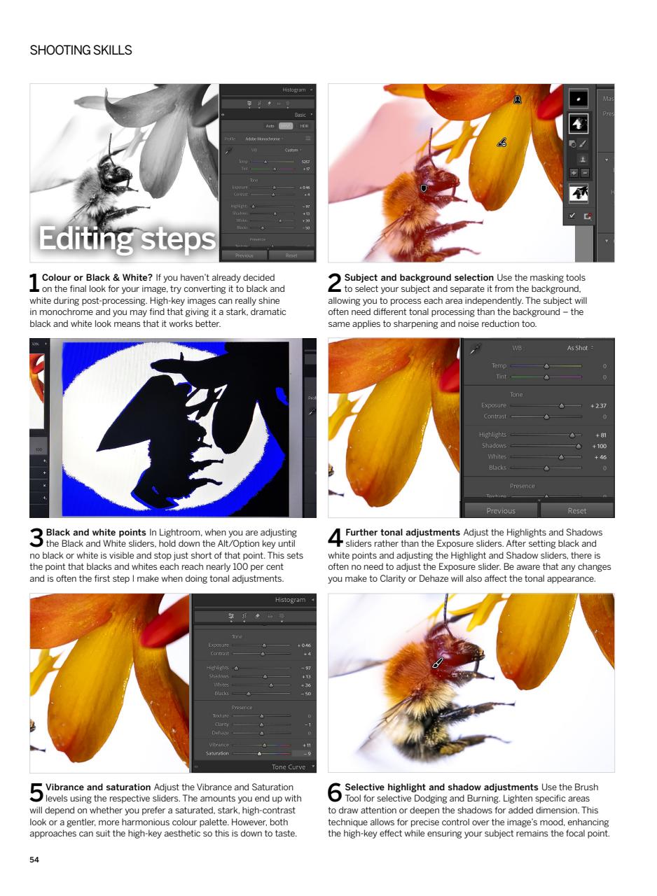 Digital Photographer Preview Pages
