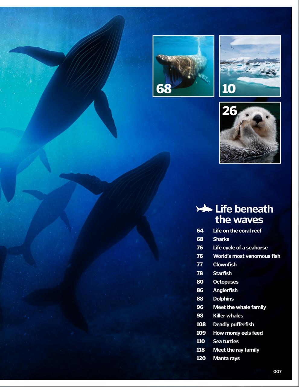 How It Works Bookazine Preview Pages