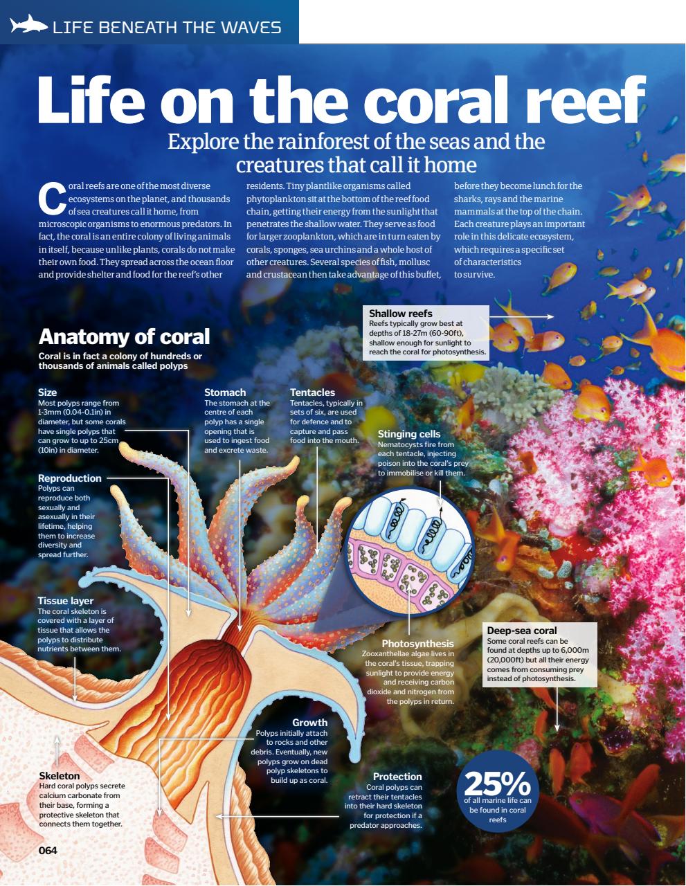 How It Works Bookazine Preview Pages