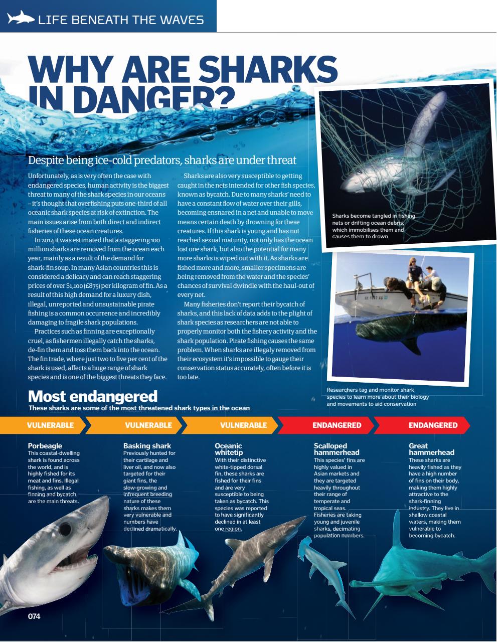 How It Works Bookazine Preview Pages