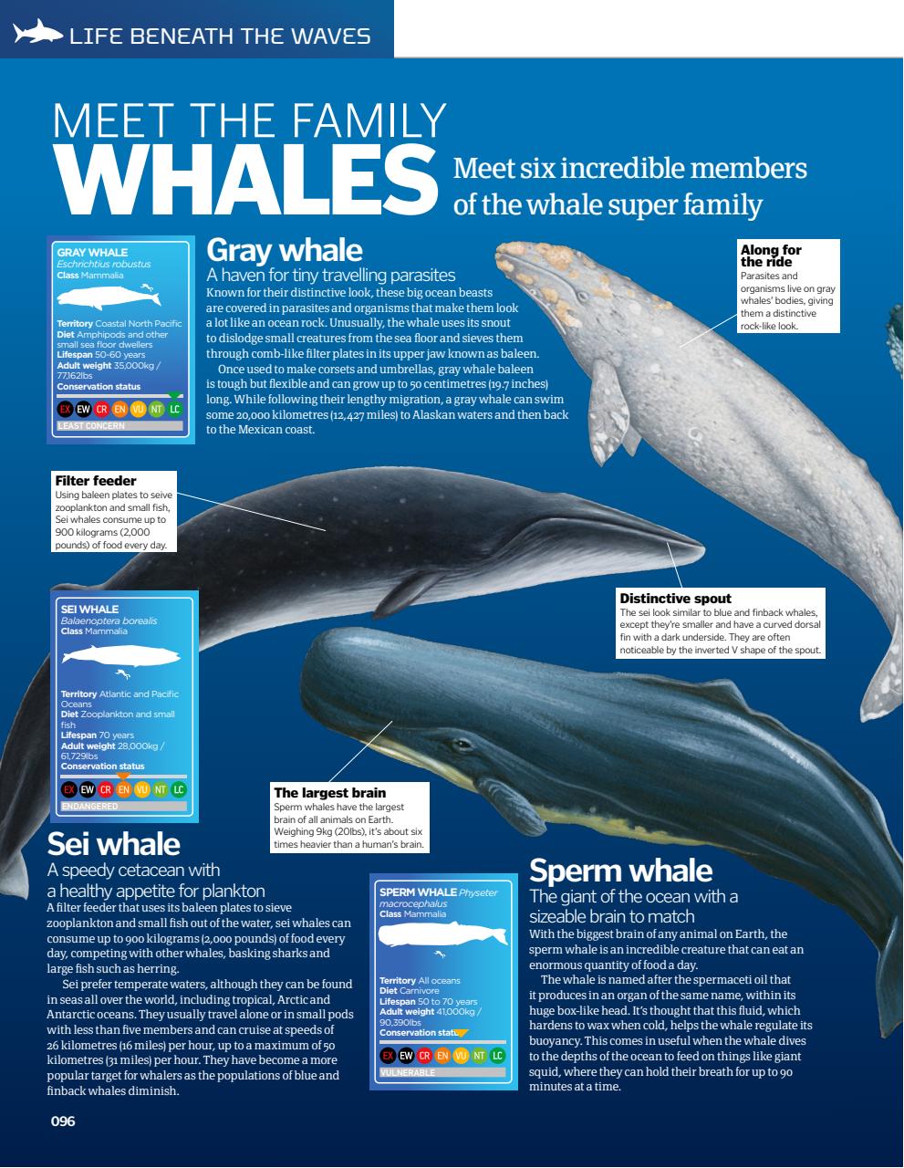 How It Works Bookazine Preview Pages