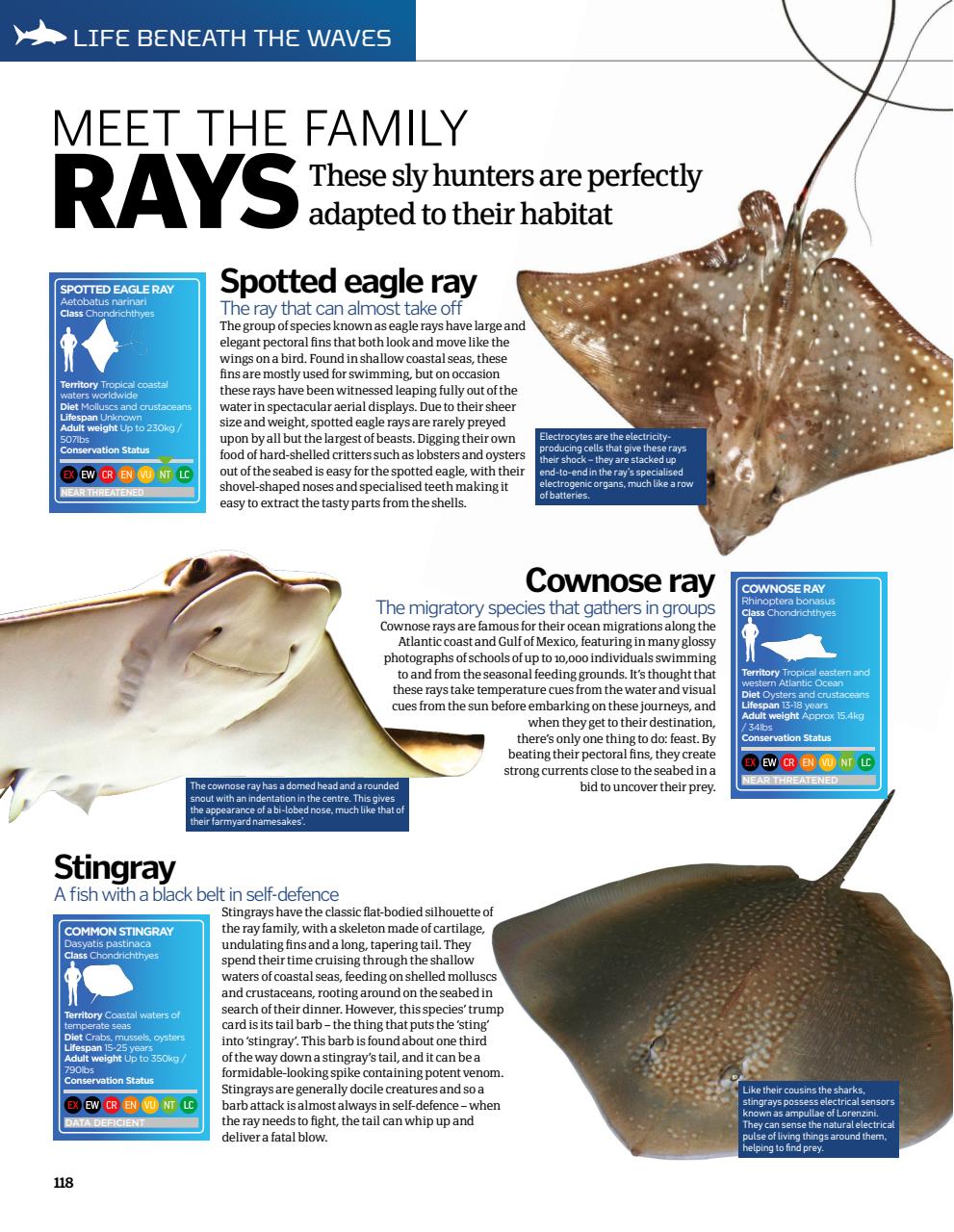 How It Works Bookazine Preview Pages