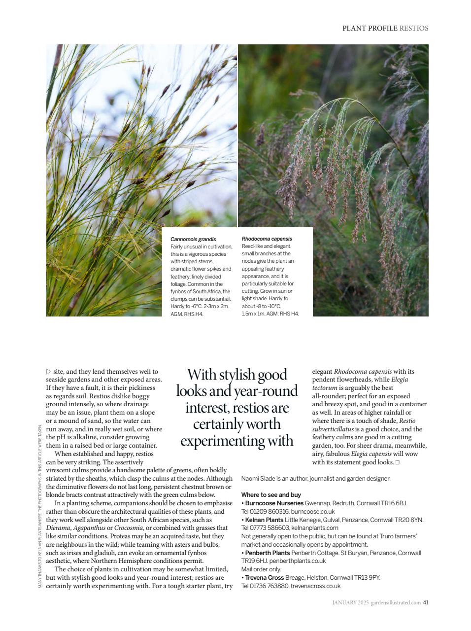 Gardens Illustrated Preview Pages