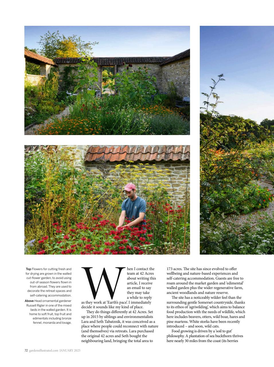 Gardens Illustrated Preview Pages