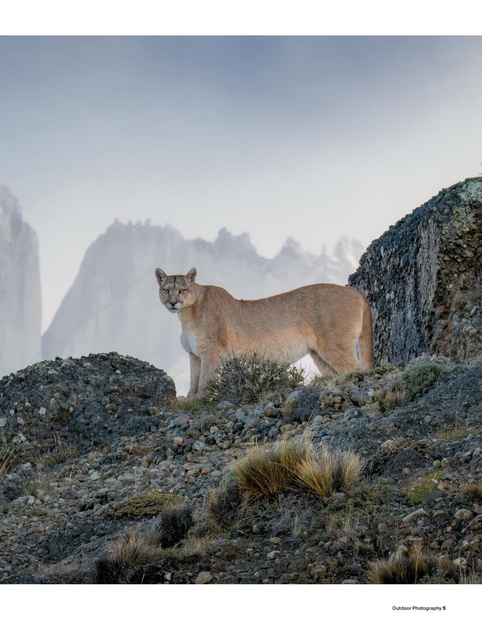 Outdoor Photography Preview Pages