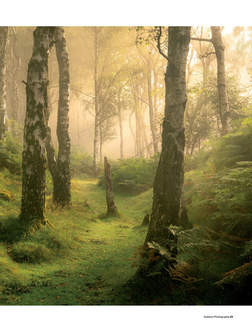 Outdoor Photography Preview Pages