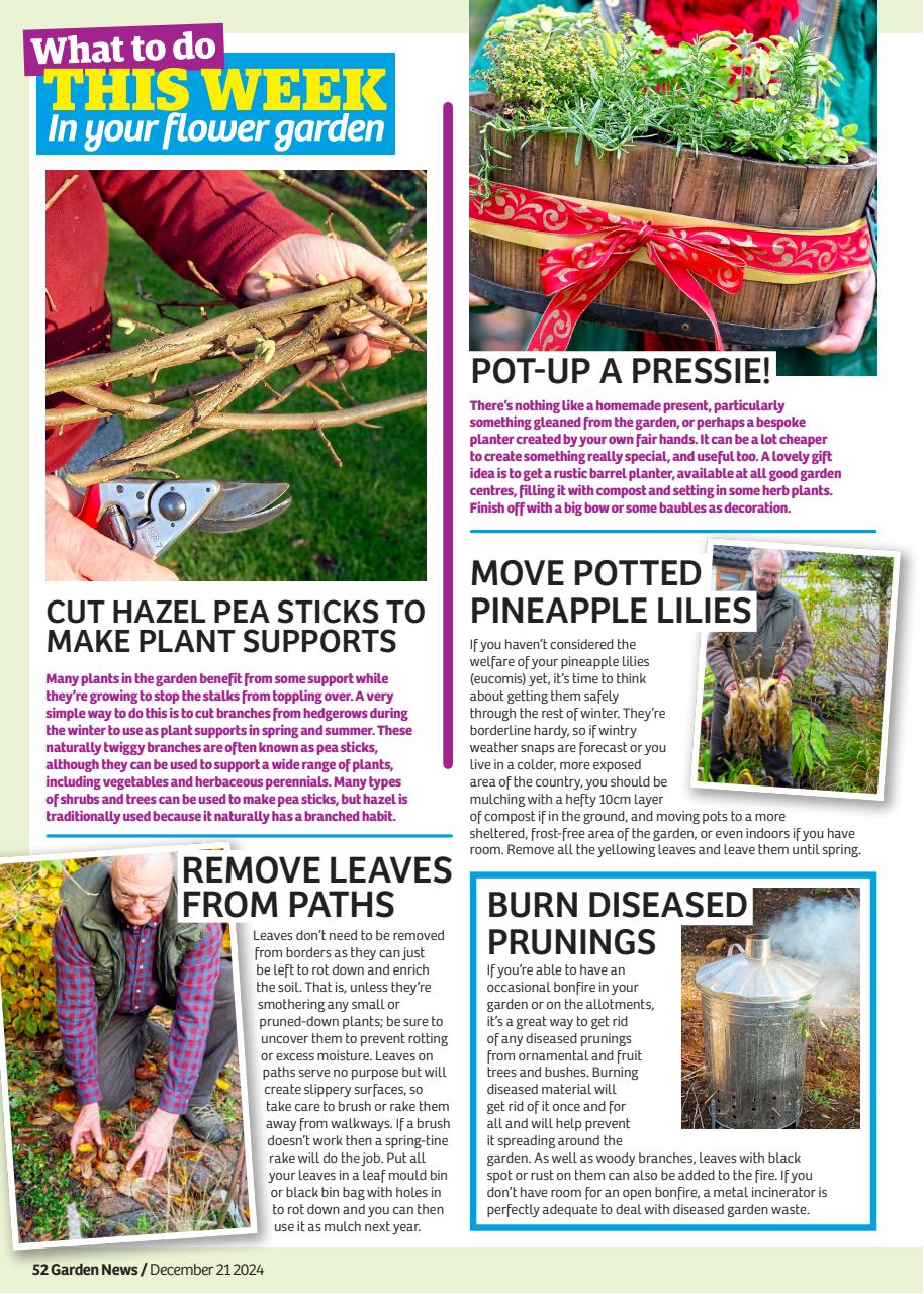 Garden News Preview Pages