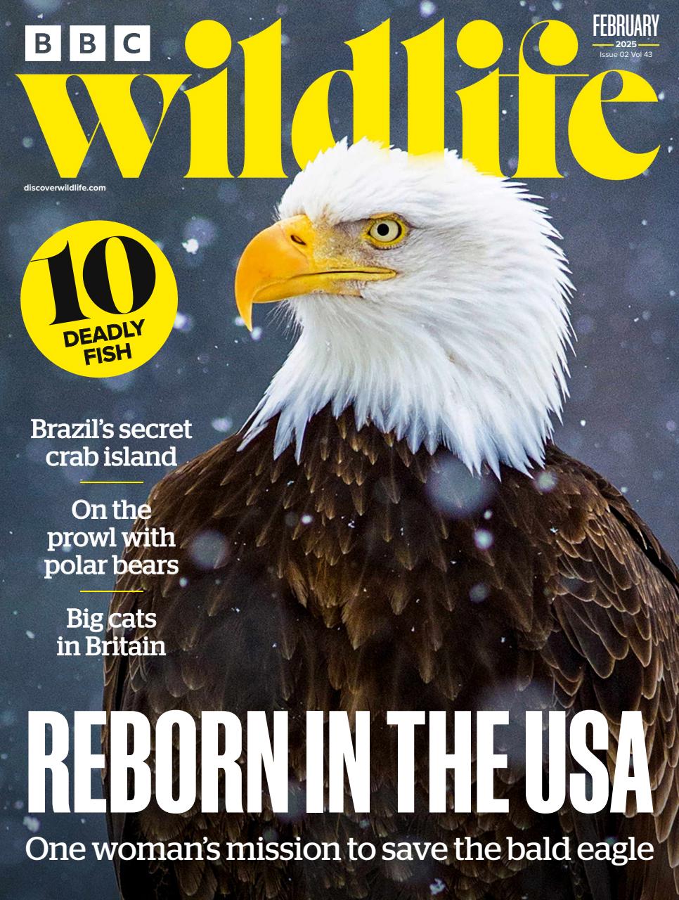 BBC Wildlife Magazine Preview Pages