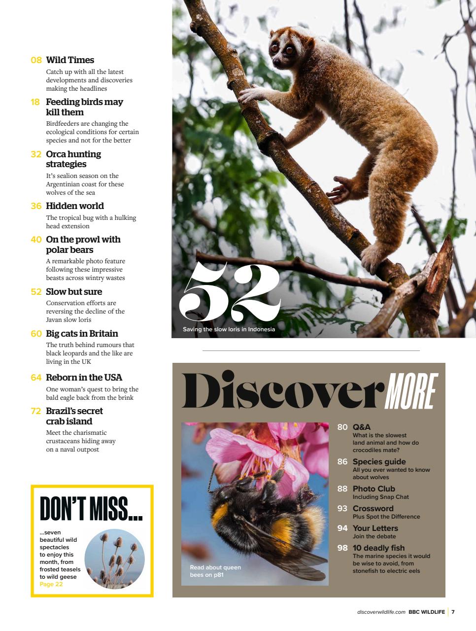 BBC Wildlife Magazine Preview Pages