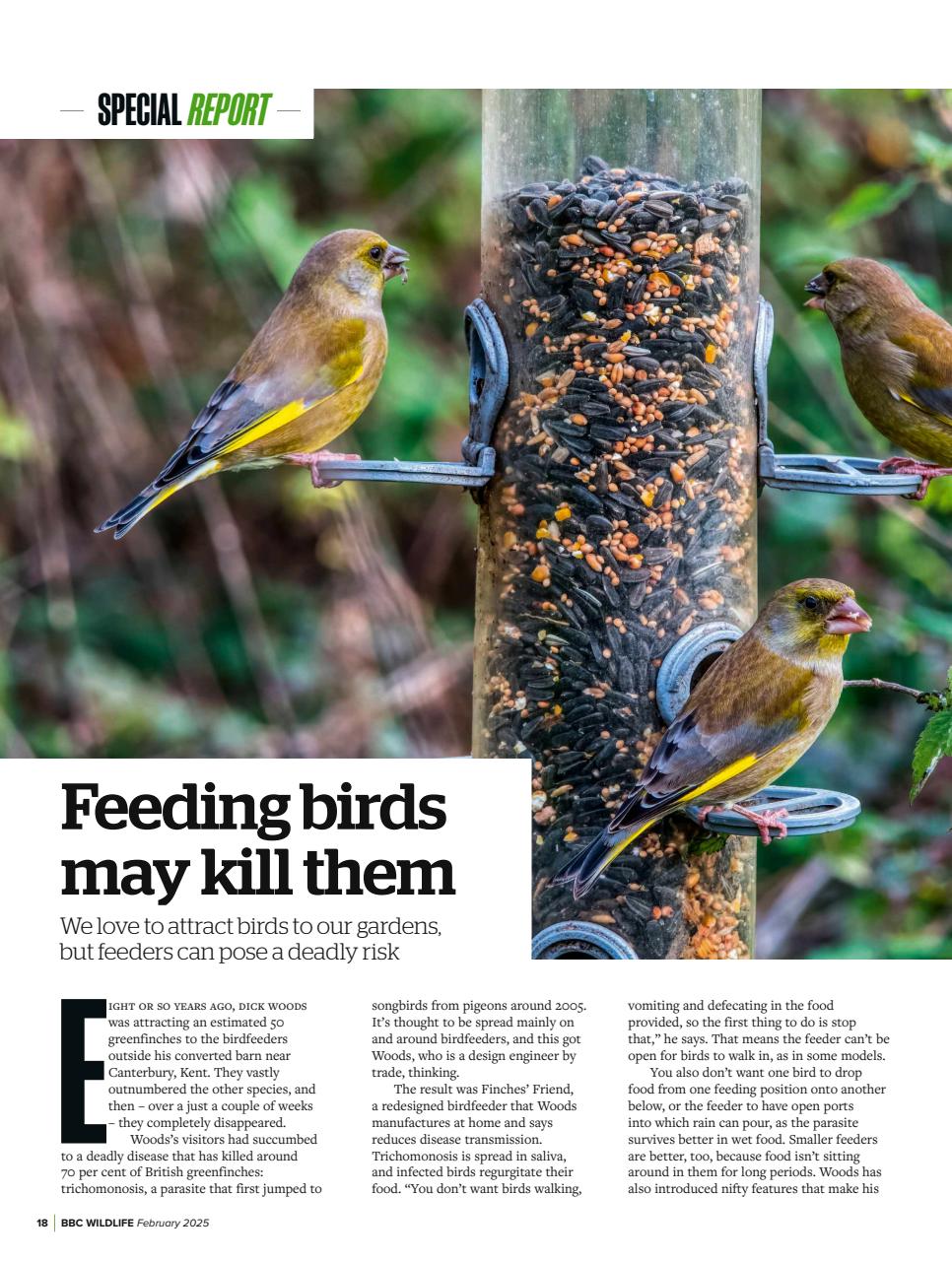 BBC Wildlife Magazine Preview Pages