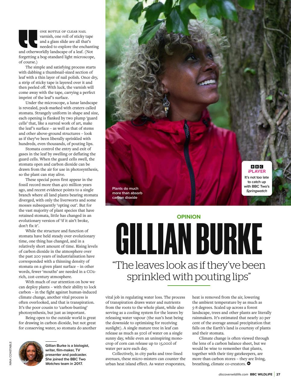 BBC Wildlife Magazine Preview Pages