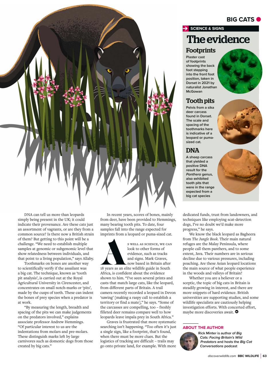 BBC Wildlife Magazine Preview Pages