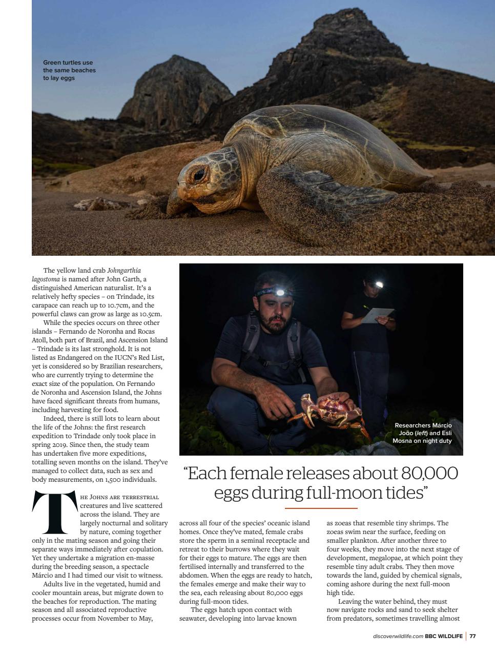 BBC Wildlife Magazine Preview Pages