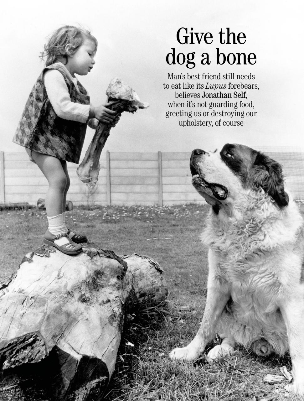 Country Life Preview Pages