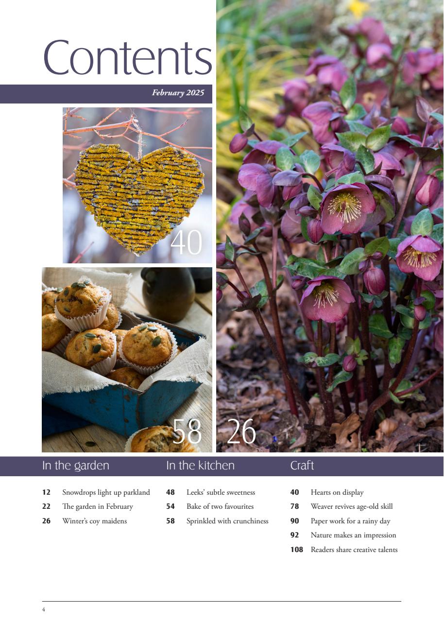 LandScape Preview Pages