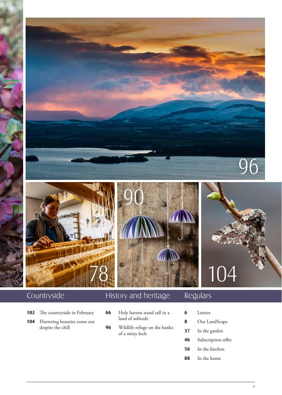 LandScape Preview Pages