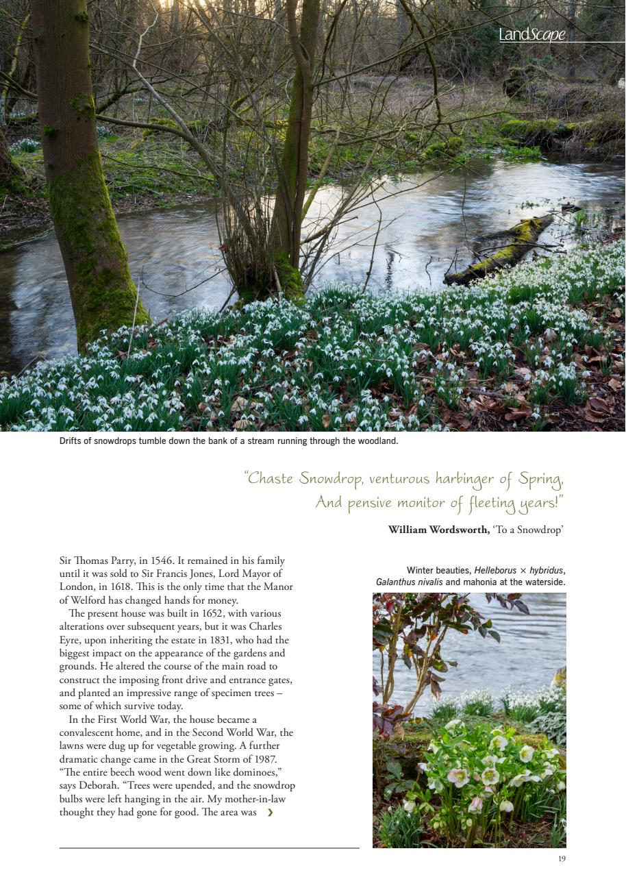 LandScape Preview Pages