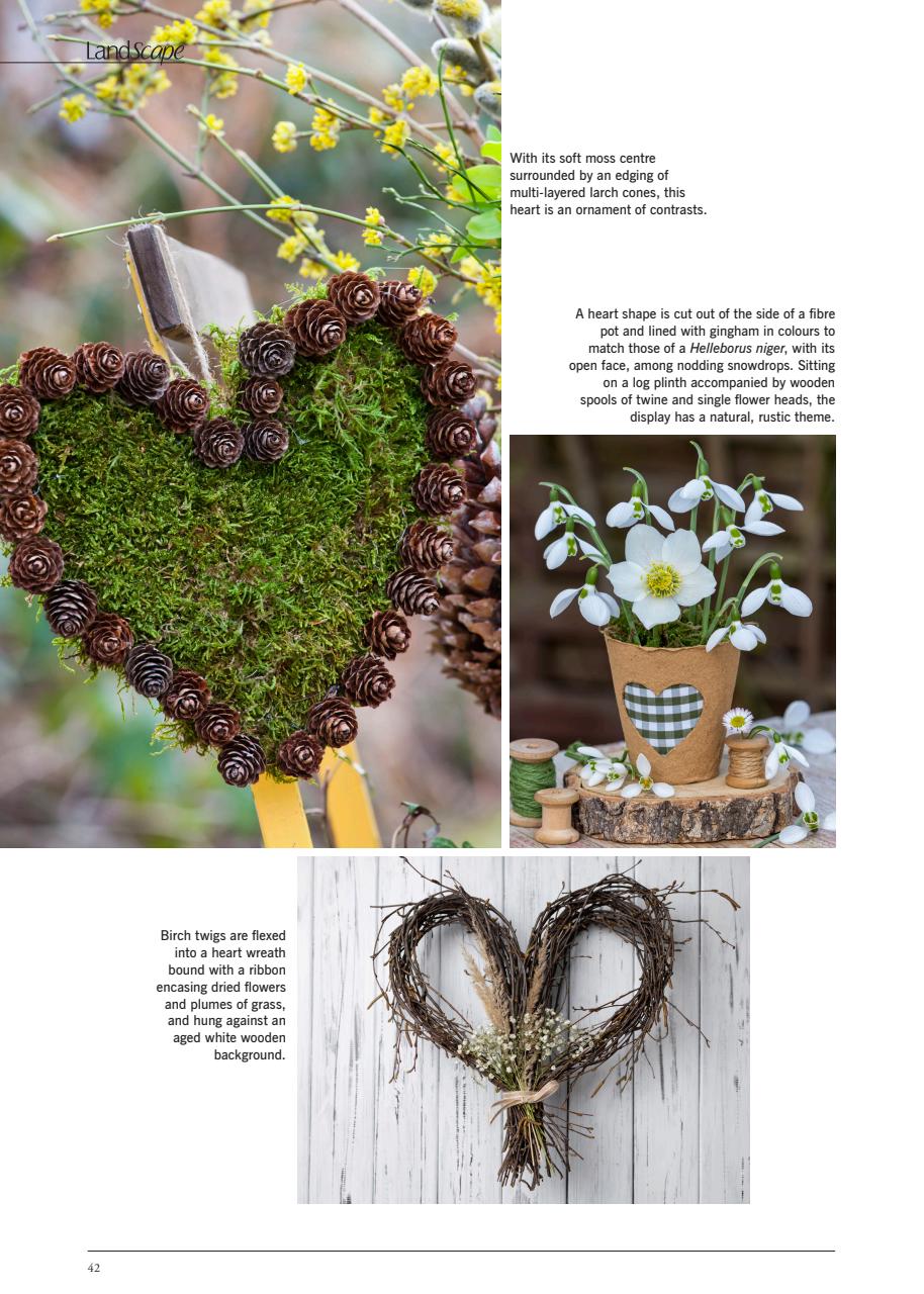 LandScape Preview Pages