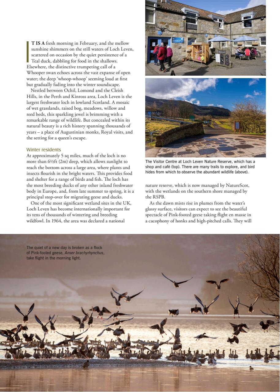 LandScape Preview Pages