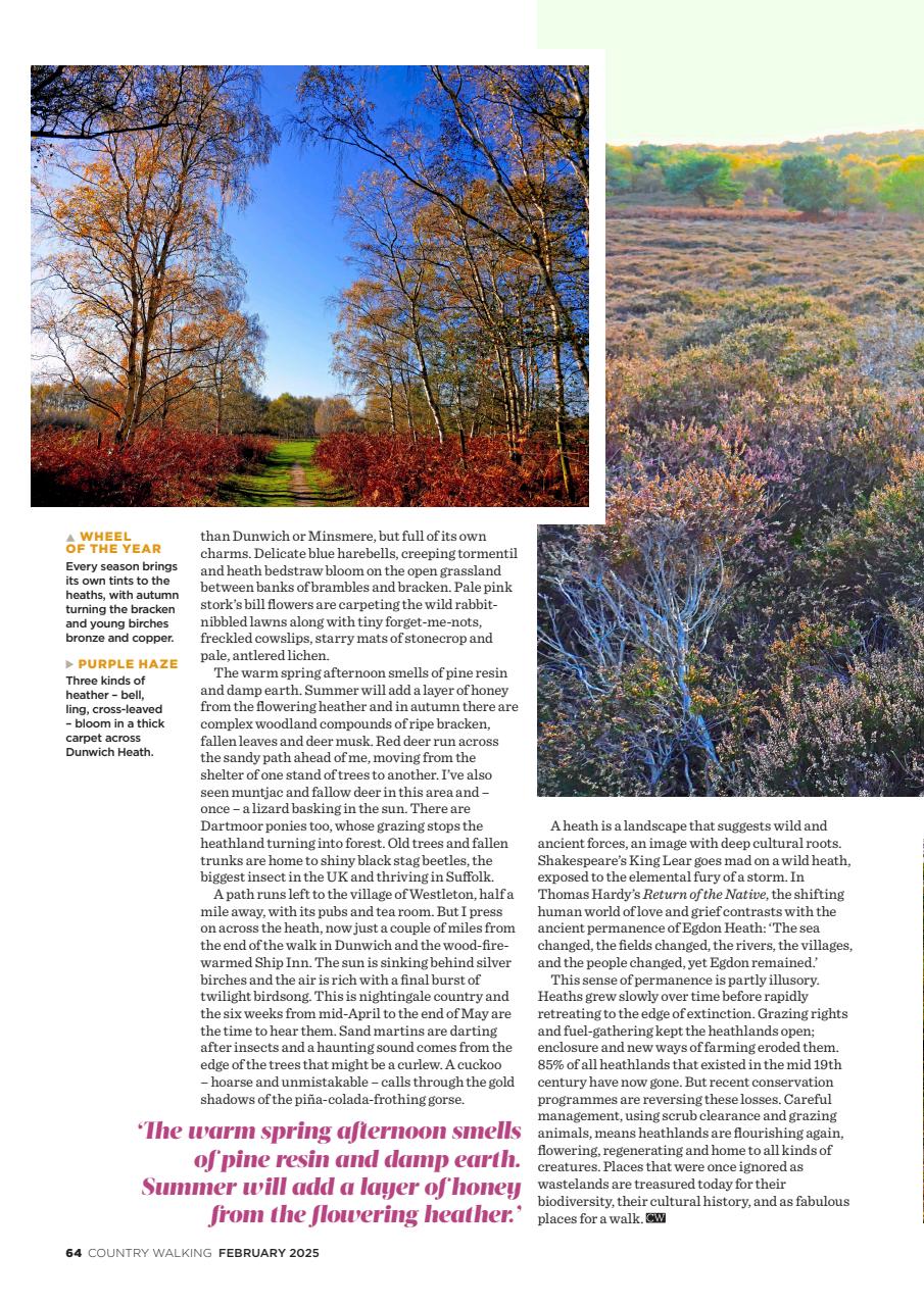 Country Walking Preview Pages