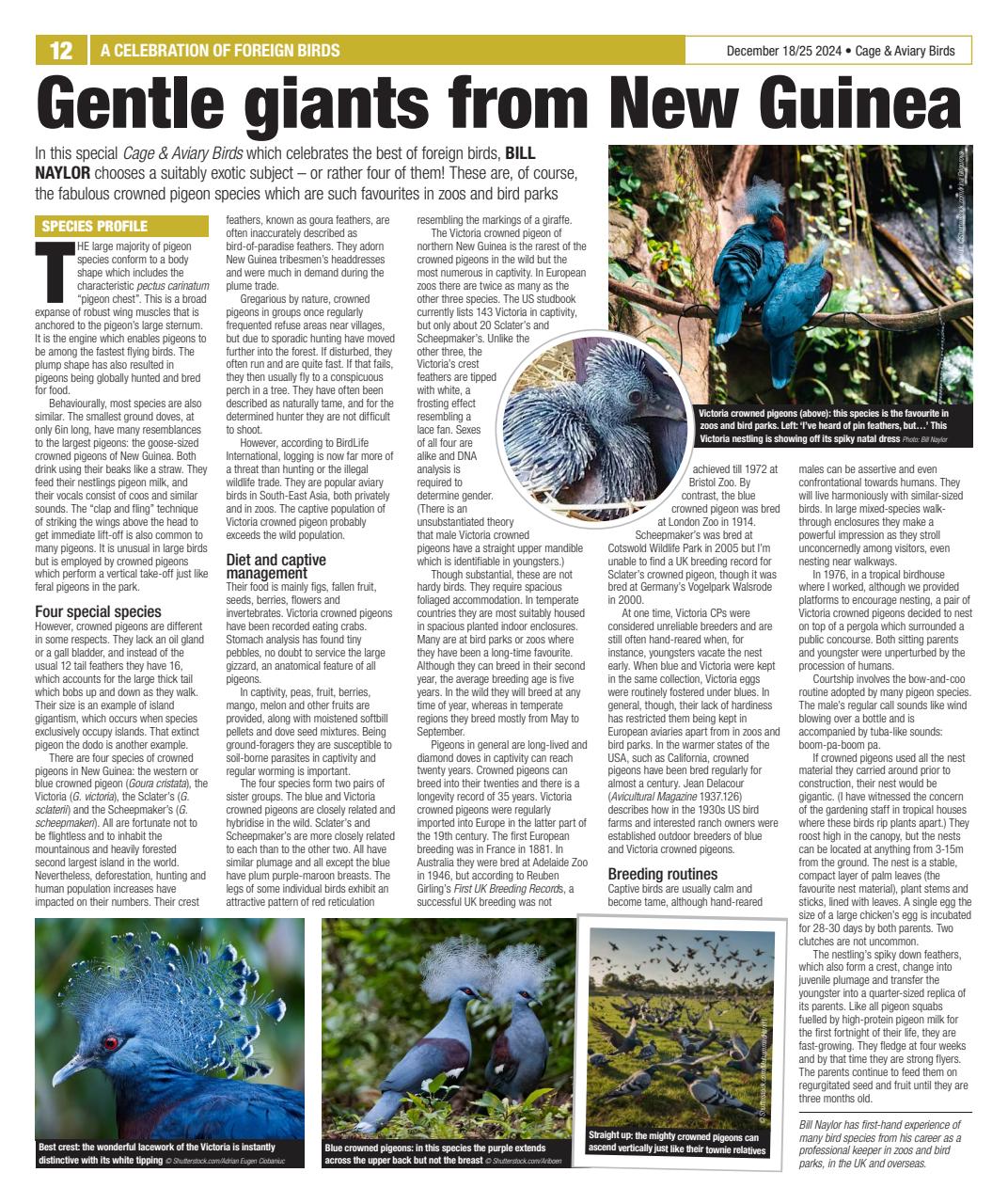 Cage & Aviary Birds Preview Pages