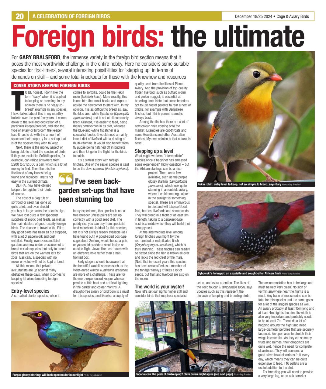 Cage & Aviary Birds Preview Pages