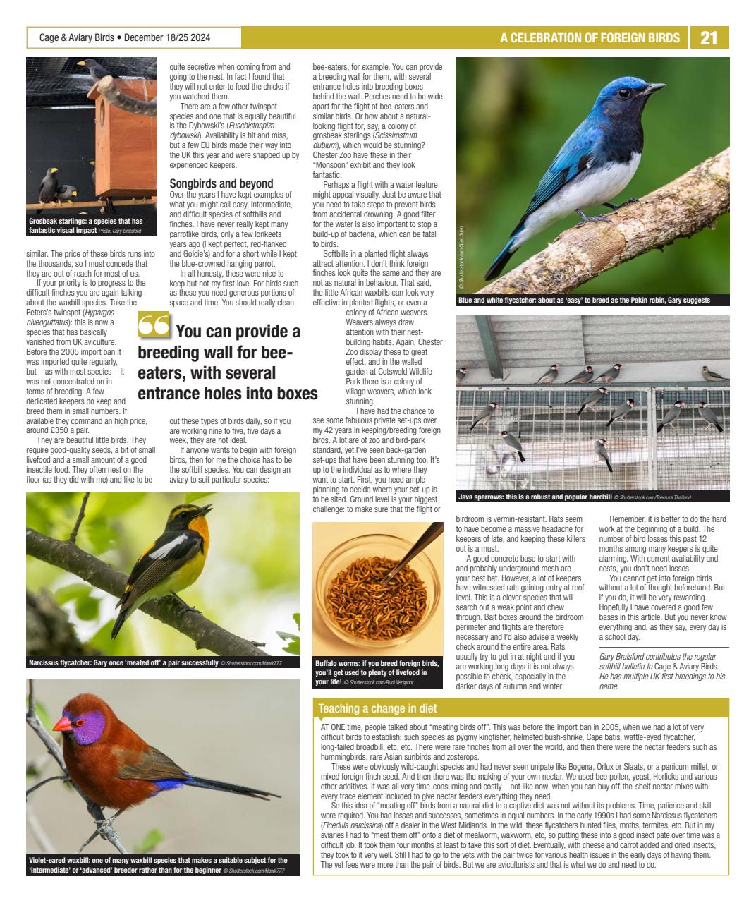 Cage & Aviary Birds Preview Pages