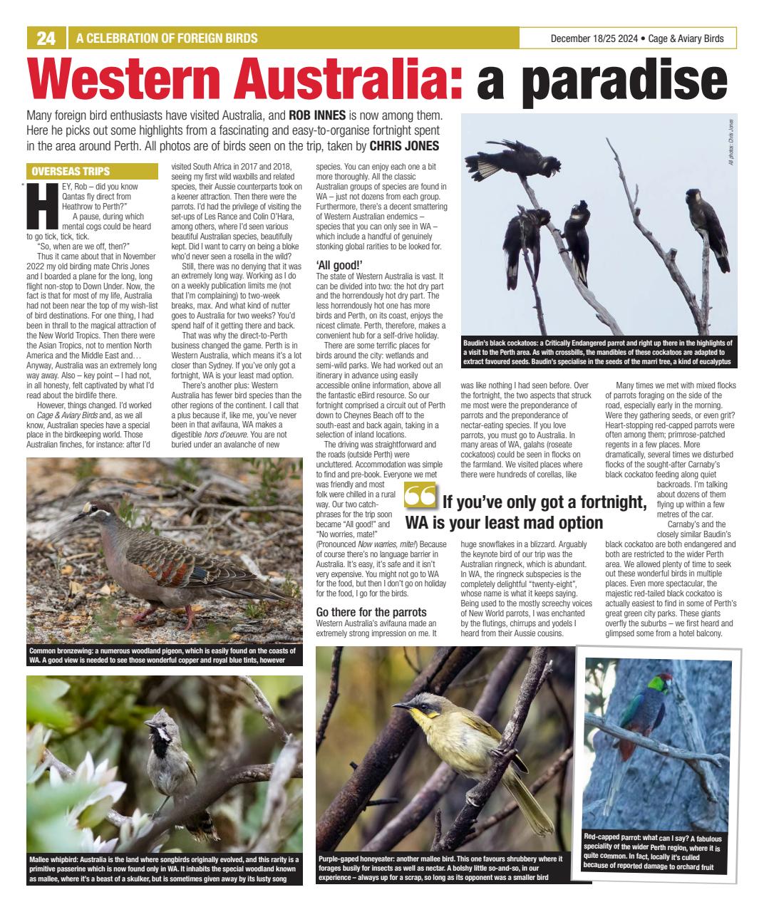 Cage & Aviary Birds Preview Pages