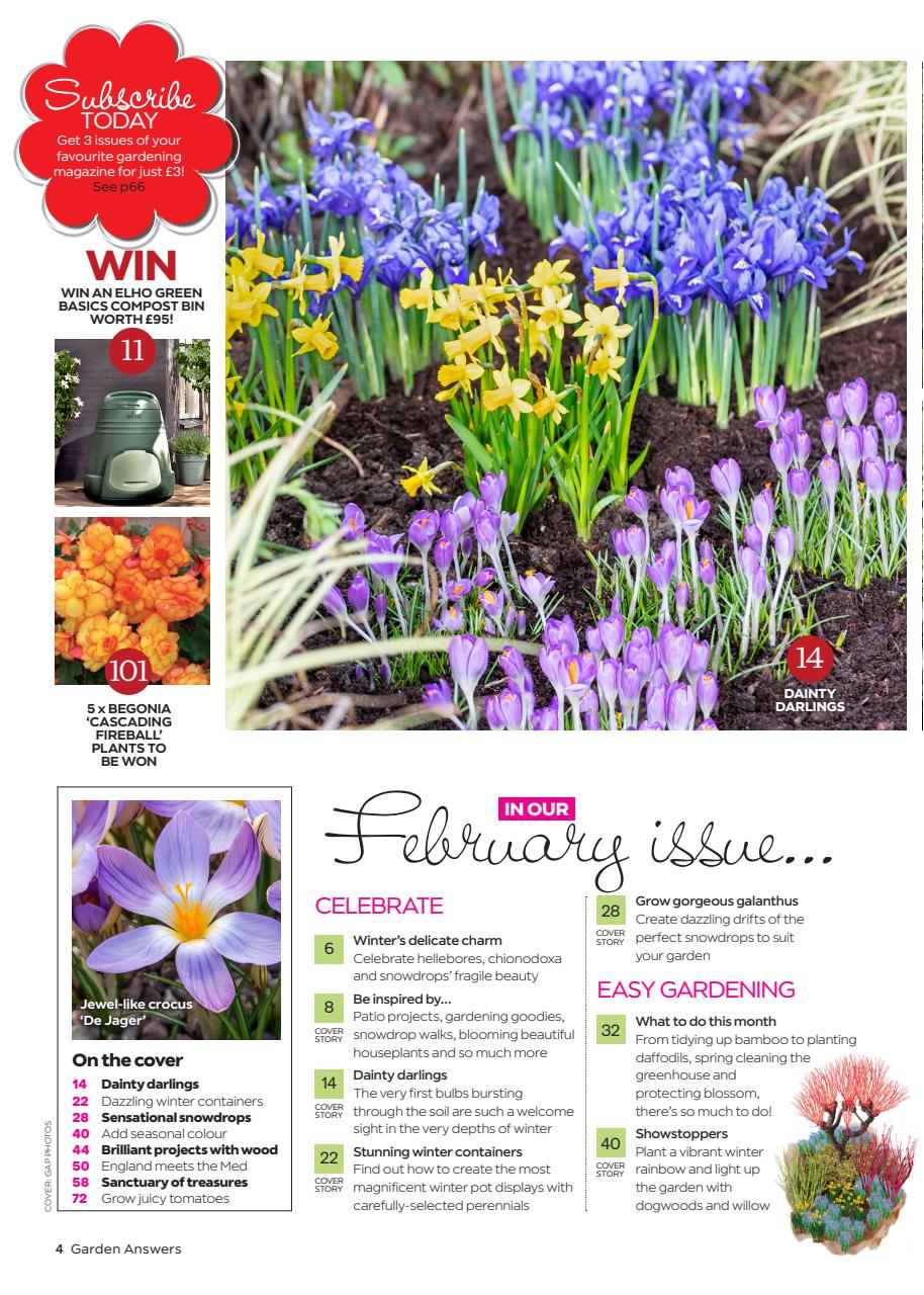 Garden Answers Preview Pages