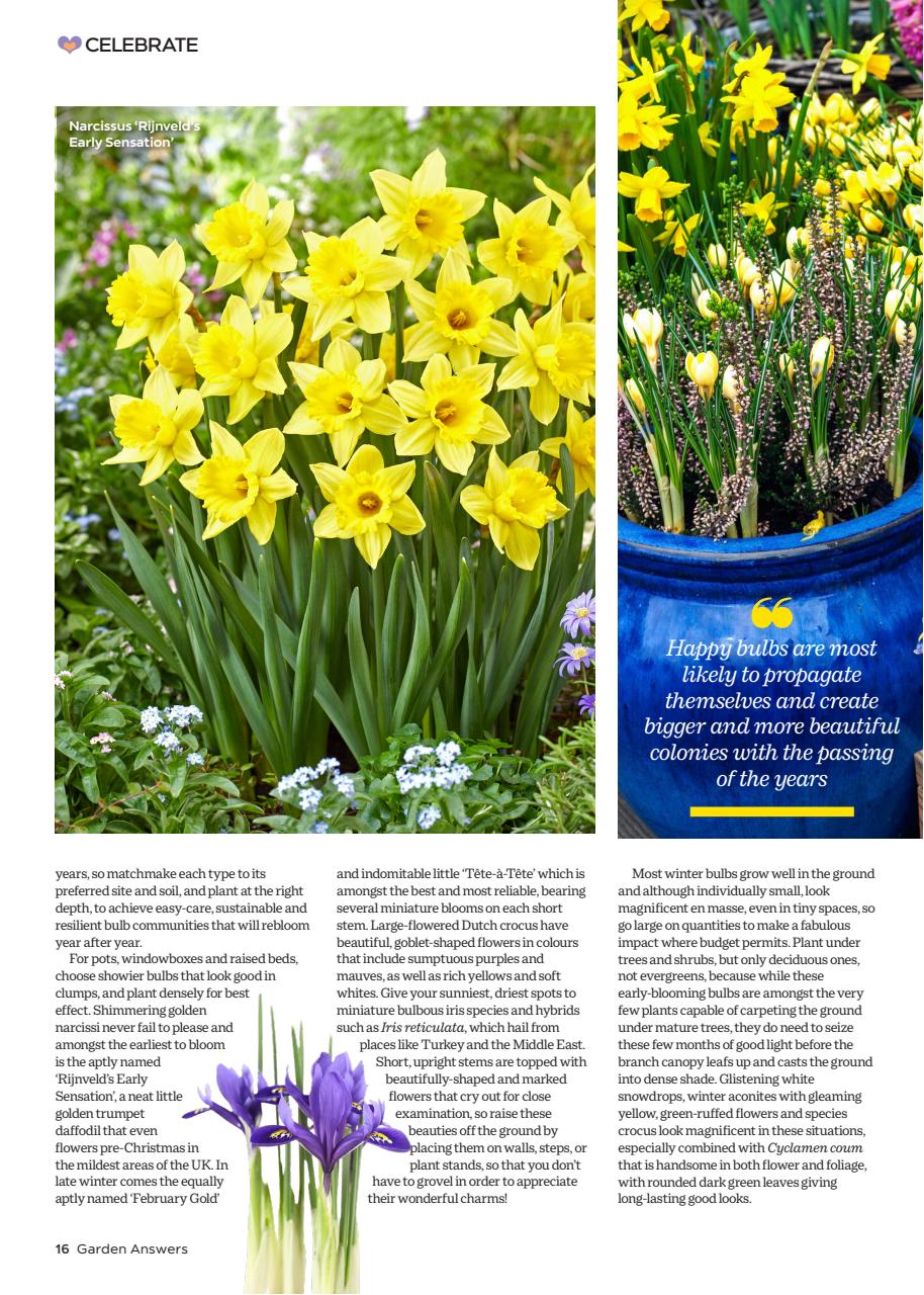 Garden Answers Preview Pages