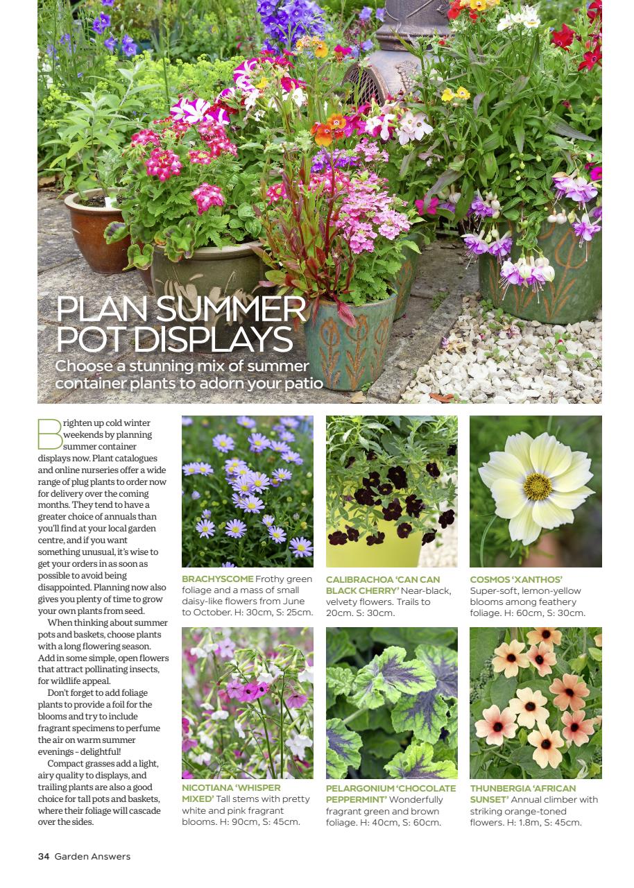 Garden Answers Preview Pages