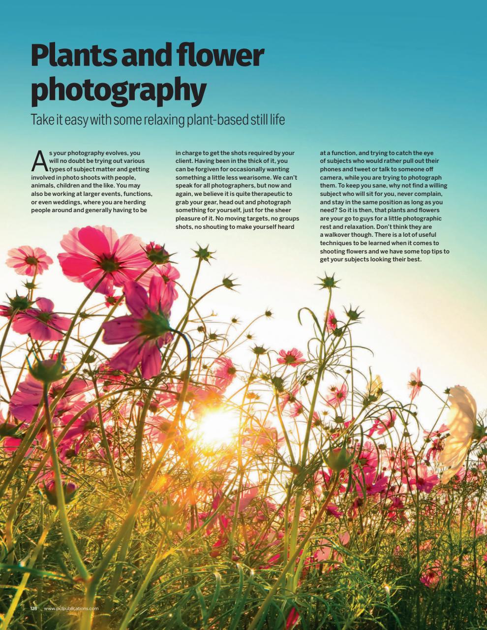 Outdoor Photography The Complete Manual Preview Pages