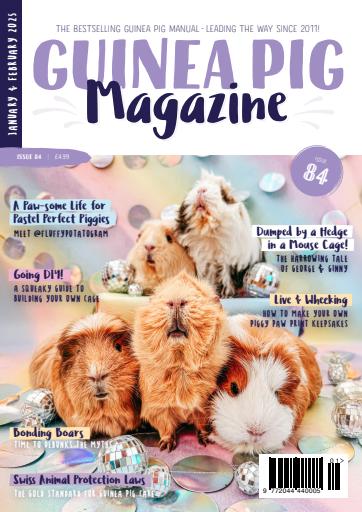 Guinea Pig Magazine issue 