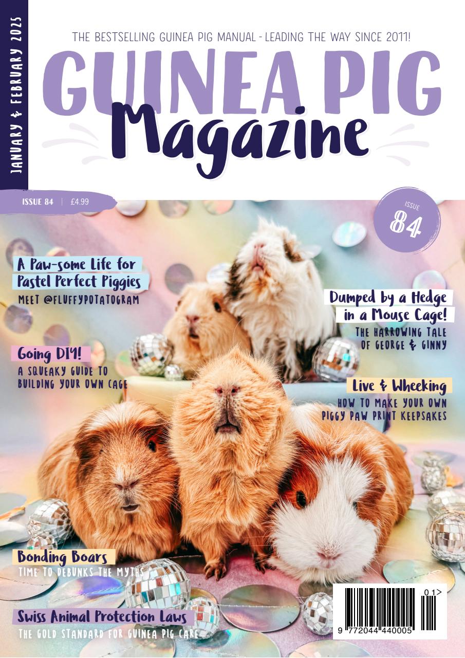 Guinea Pig Magazine Preview Pages