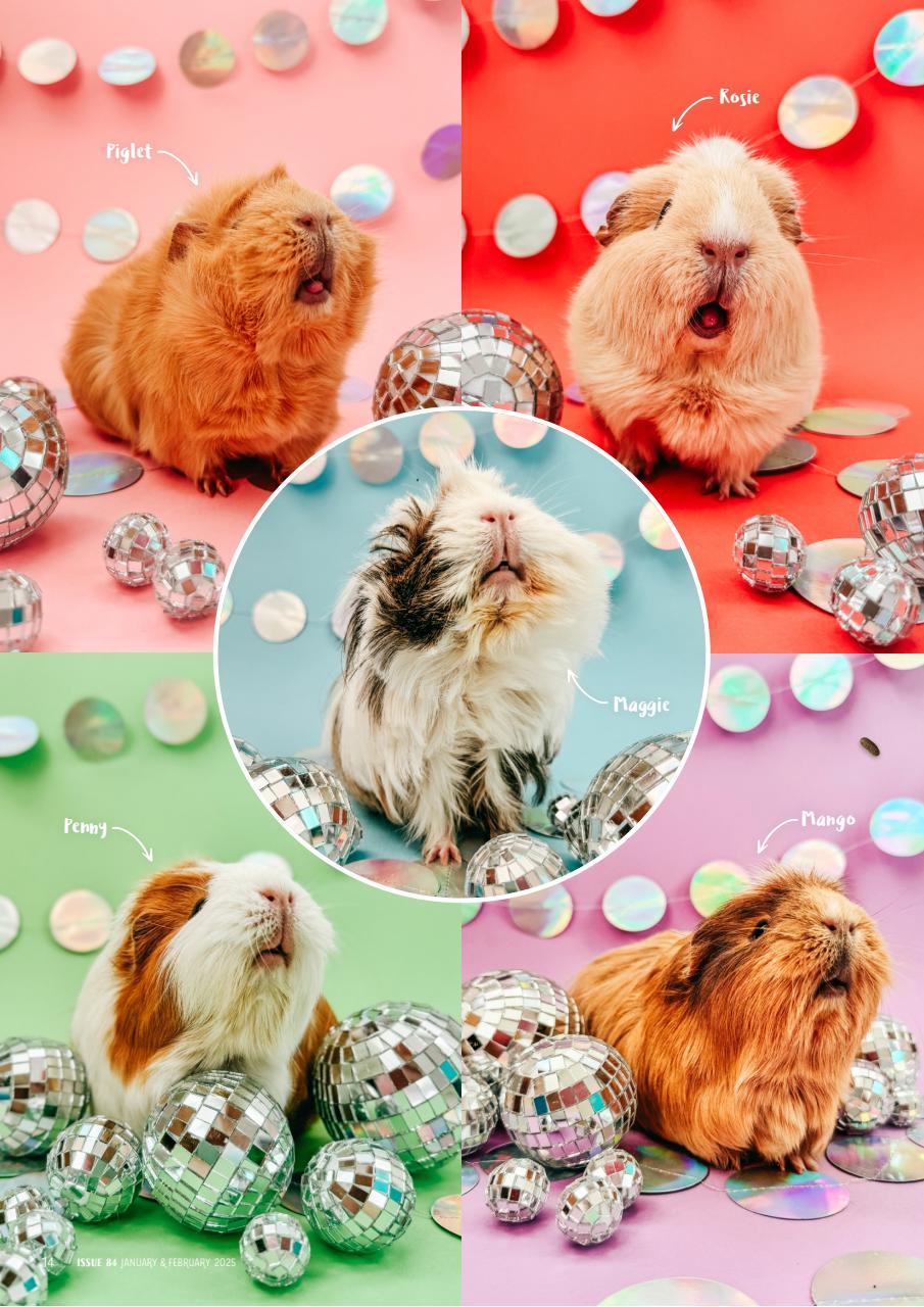 Guinea Pig Magazine Preview Pages