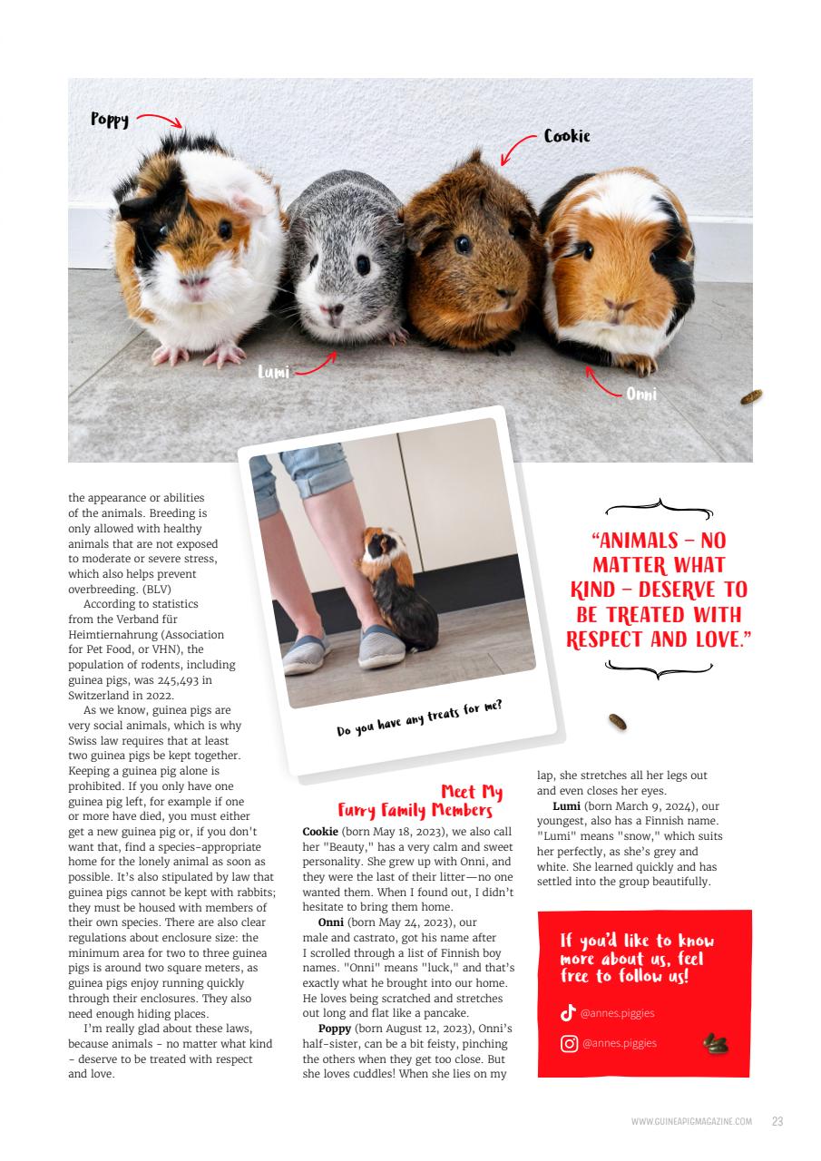 Guinea Pig Magazine Preview Pages