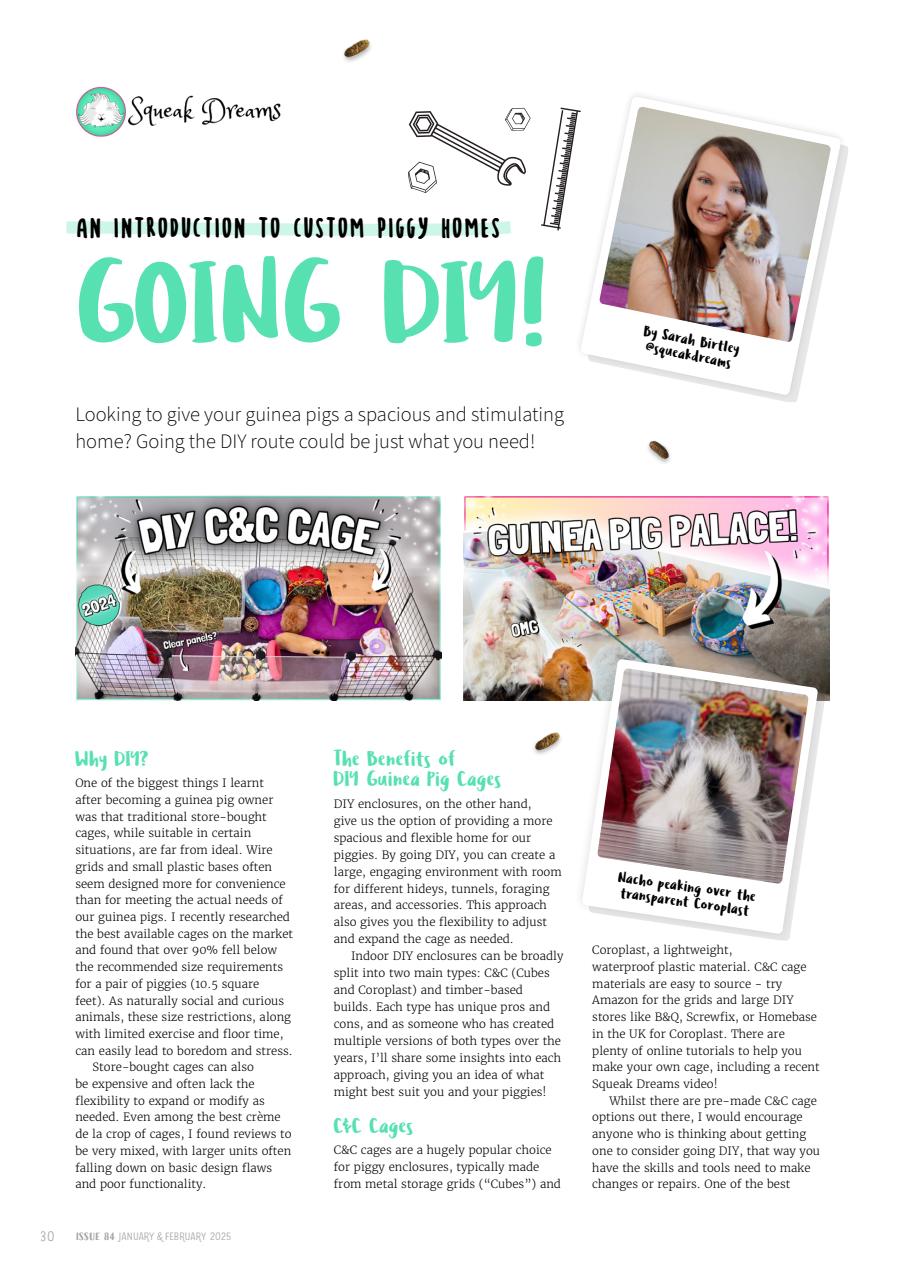Guinea Pig Magazine Preview Pages