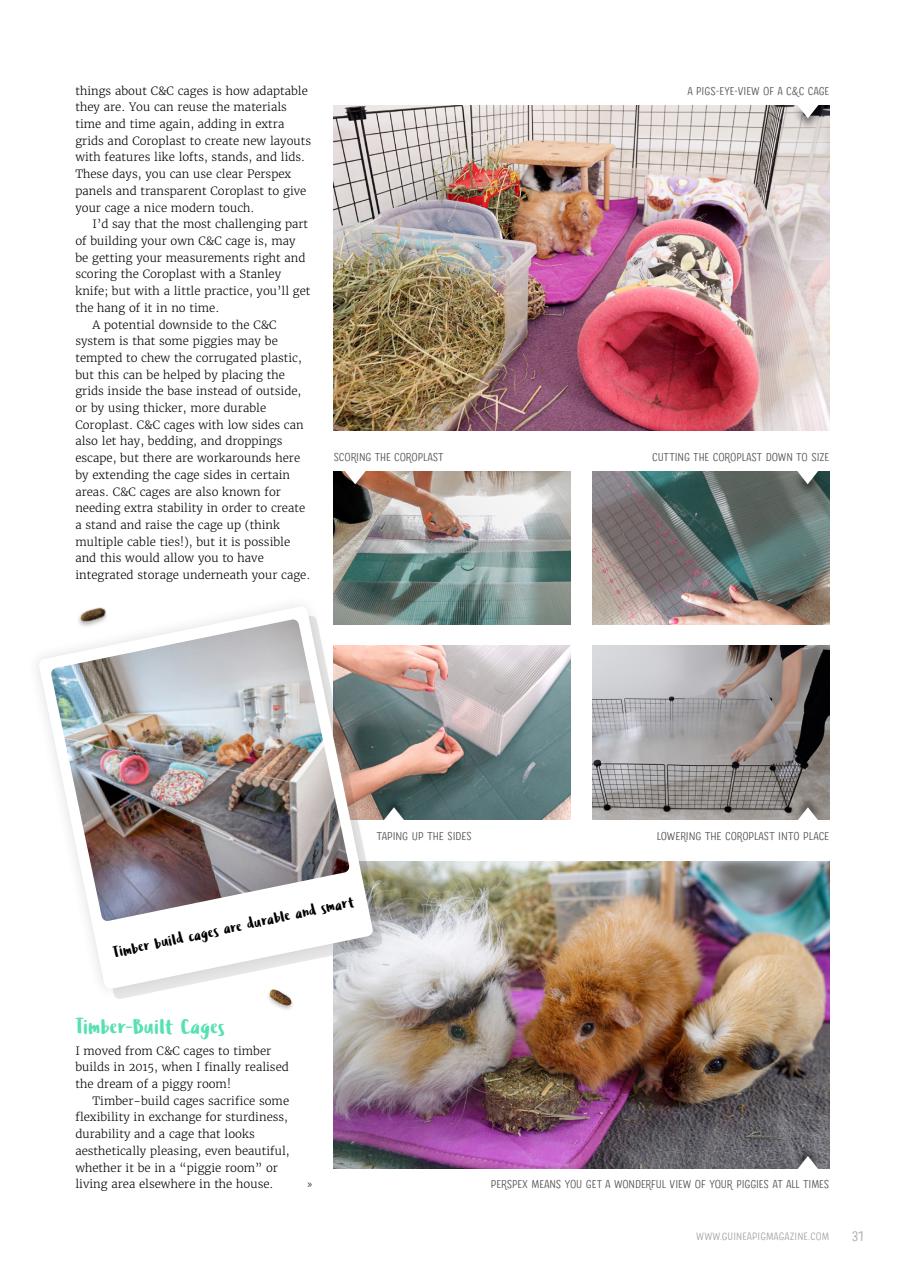 Guinea Pig Magazine Preview Pages