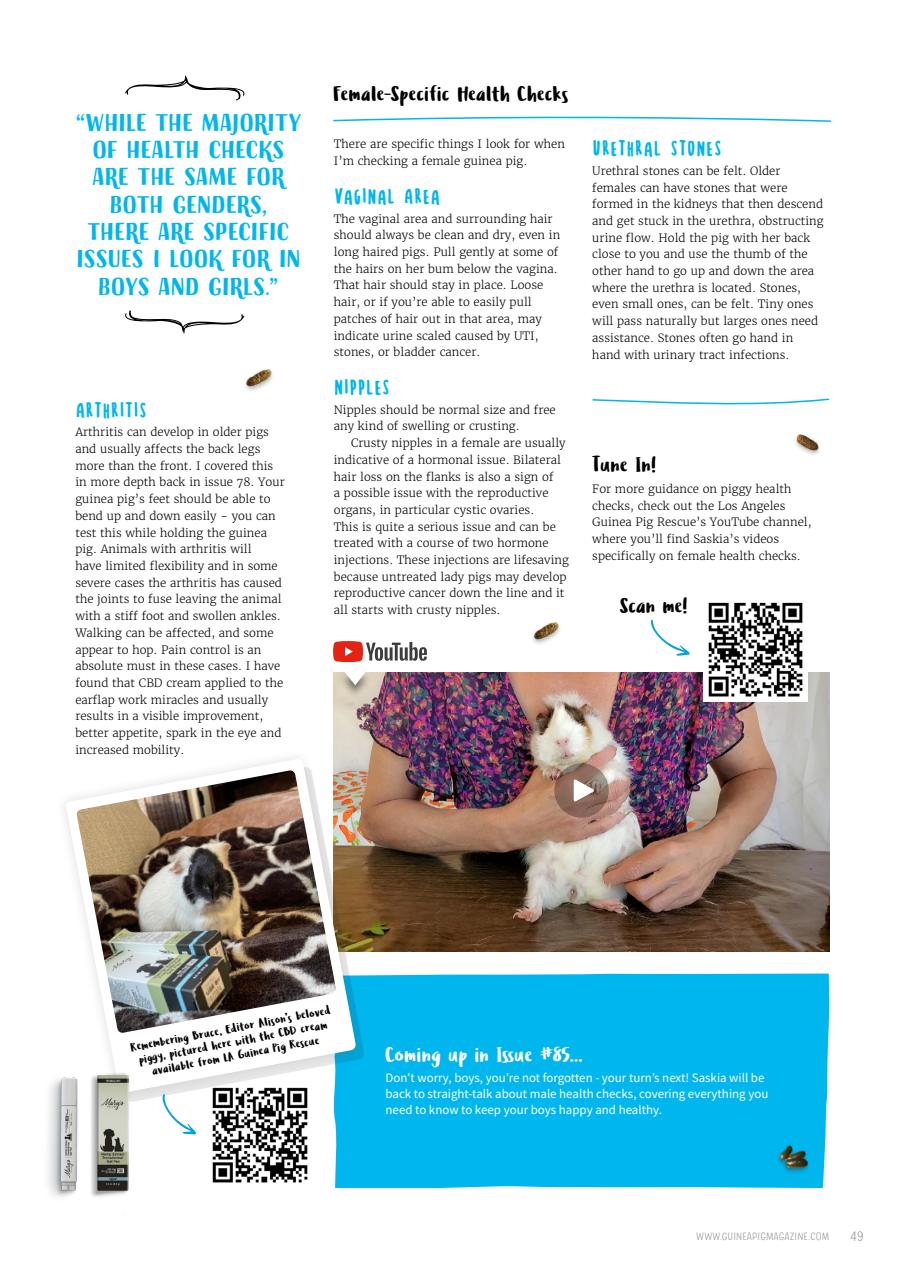 Guinea Pig Magazine Preview Pages